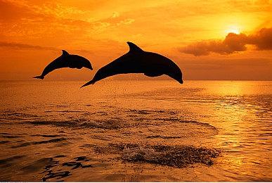 《死神之门》全新预告 7月20日发售